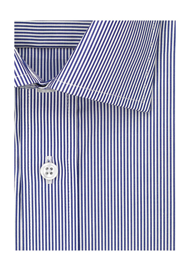 BLUE STRIPE POPLIN