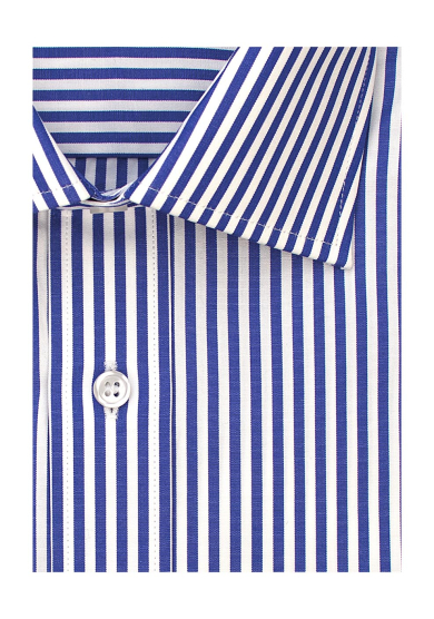 BLUE STRIPE POPLIN