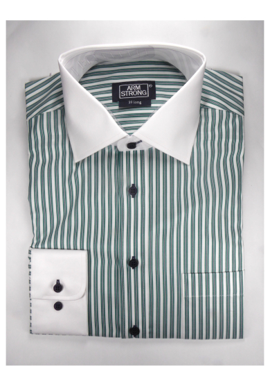 GREEN STRIPE POPLIN