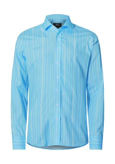 LIGHT BLUE STRIPE PRINTED POPLIN