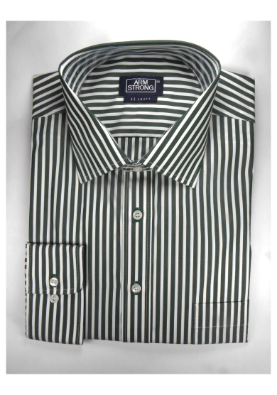 GREEN STRIPE POPLIN