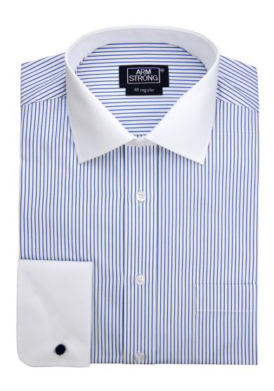 BLUE STRIPE POPLIN