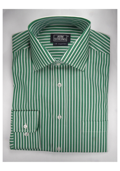 GREEN STRIPE POPLIN