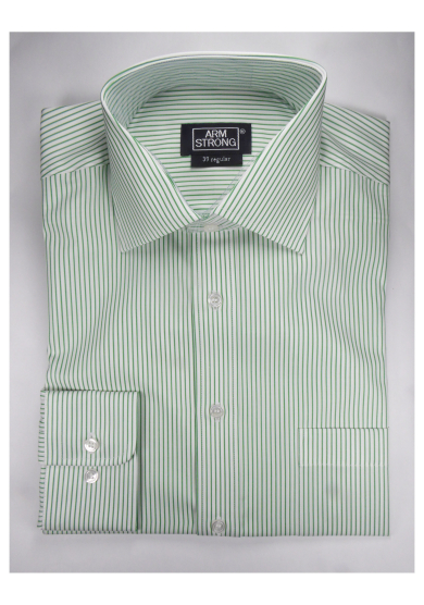 GREEN STRIPE POPLIN