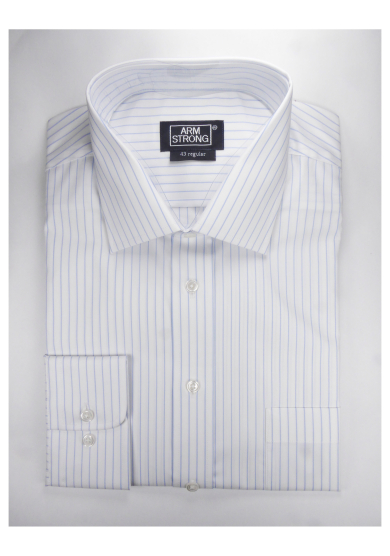 BLUE STRIPE POPLIN