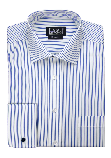 BLUE STRIPE POPLIN