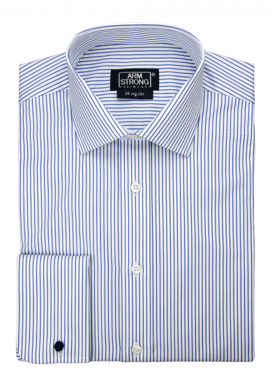 BLUE STRIPE POPLIN